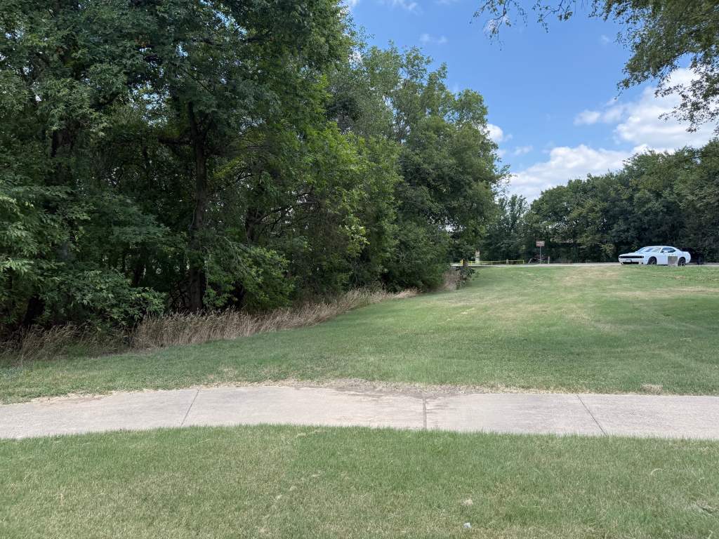A grassy area with trees in the background and a road visible in the foreground. A white car is parked nearby on the road.