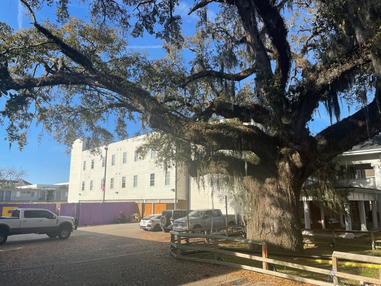 The building is no longer there but the old oak tree remains