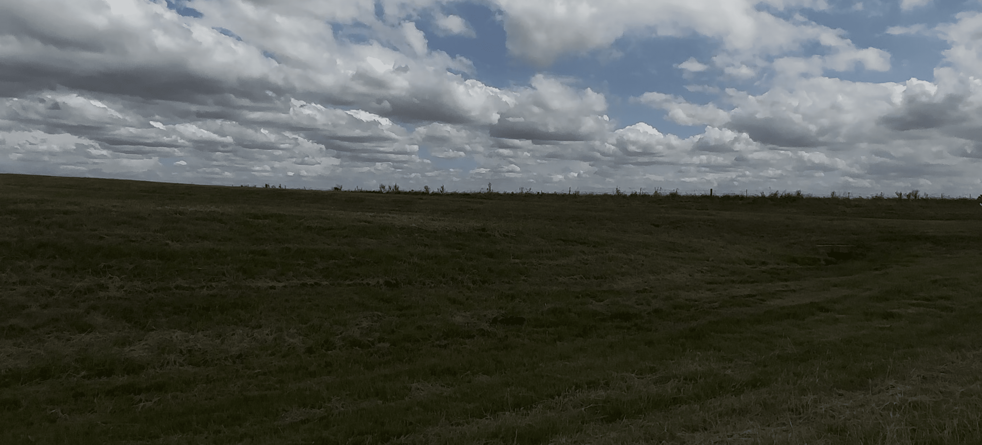 Screenshot 2024-08-30 at 7.08.01%E2%80%AFPM