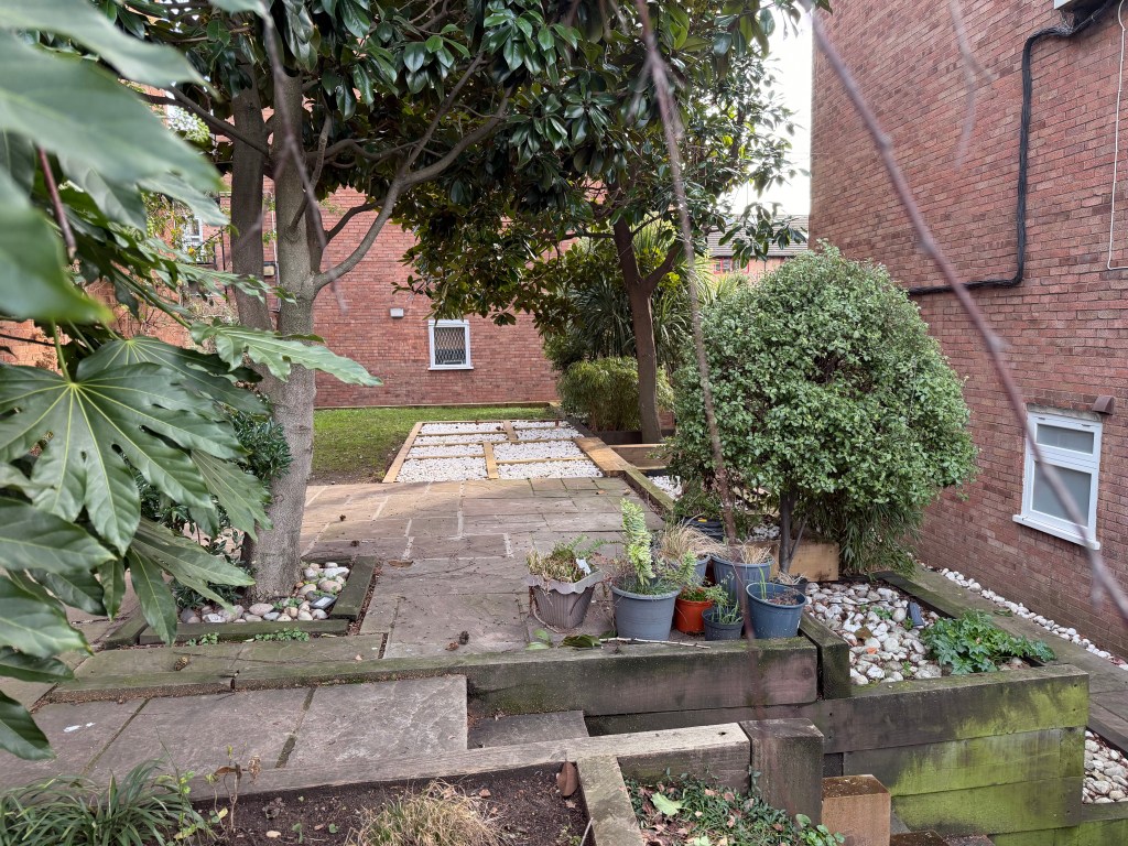 A backyard garden featuring trees, potted plants, and a stone pathway with decorative white stones.