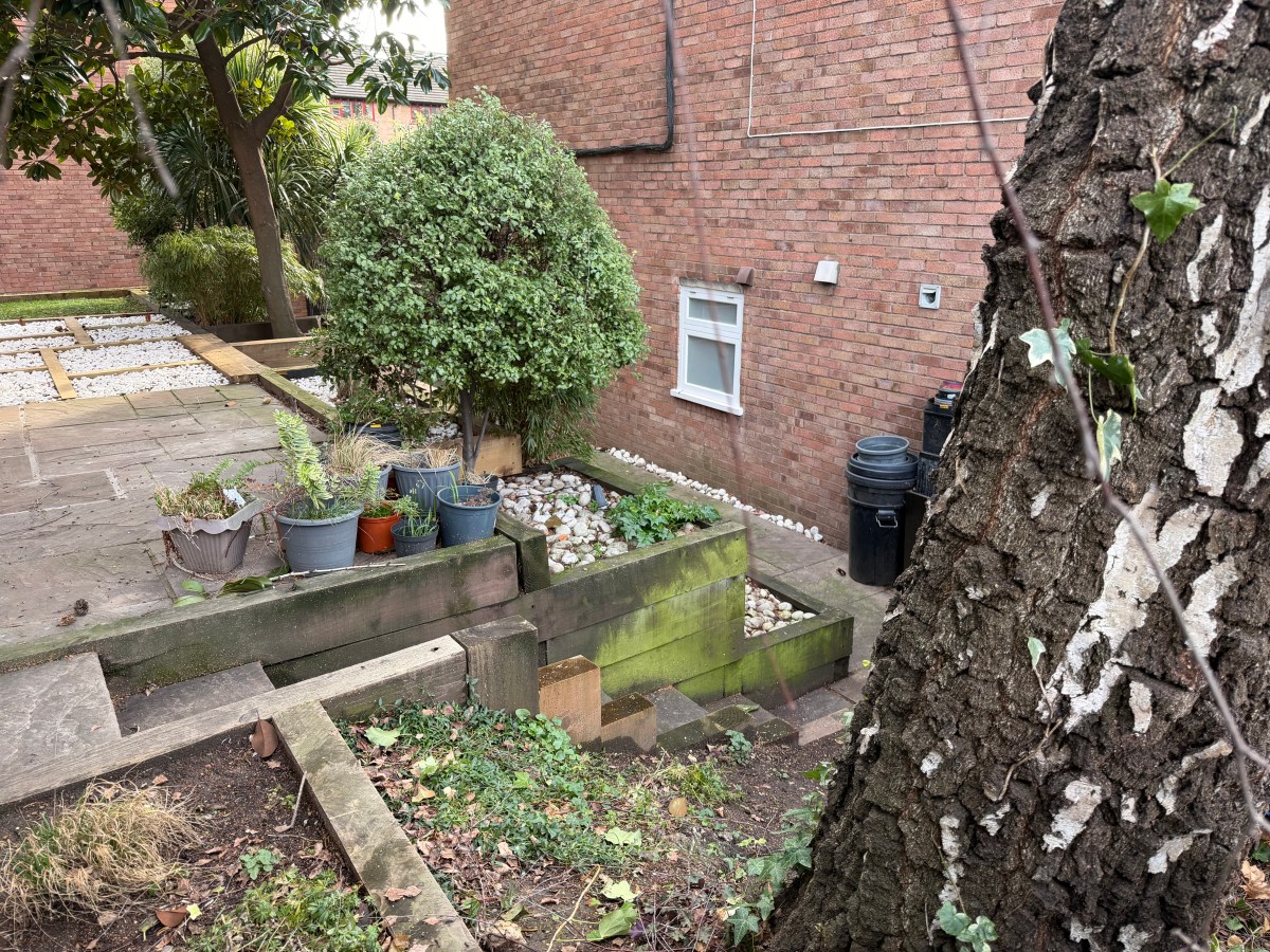 Rillington Tree John Reginald Christie and the Crimes of 10 Rillington Place – To the place